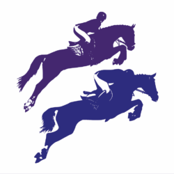 Custom Vinyl Transfers DTF Transfers Sublimation Transfer Printing, HTV Transfers, SVG Cutting files. Help Books Download, Artwork Download